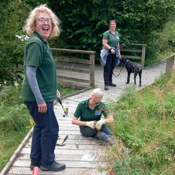 Photo of a Bird in a tree